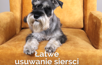 Tkanina Przyjazna Zwierzętom